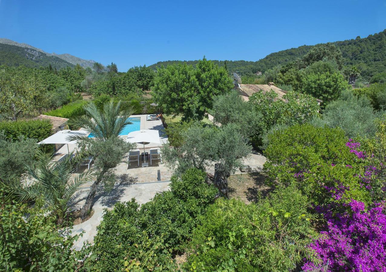 Owl Pau - Fantastic Views Pollenca
